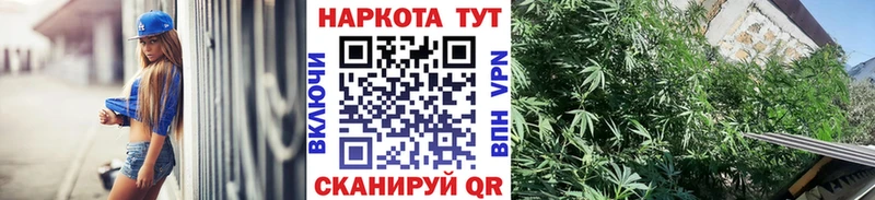 A PVP Белёв