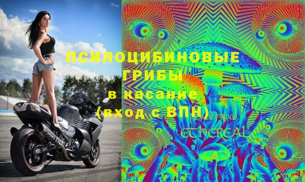 гашик Баксан